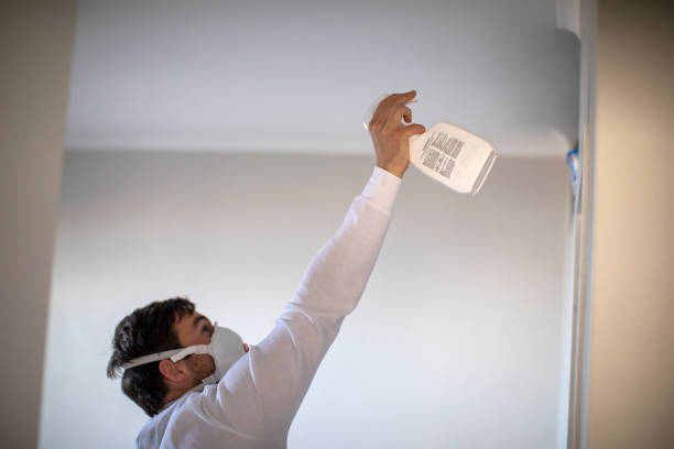 Best Mold Testing  in Chattahoochee, FL